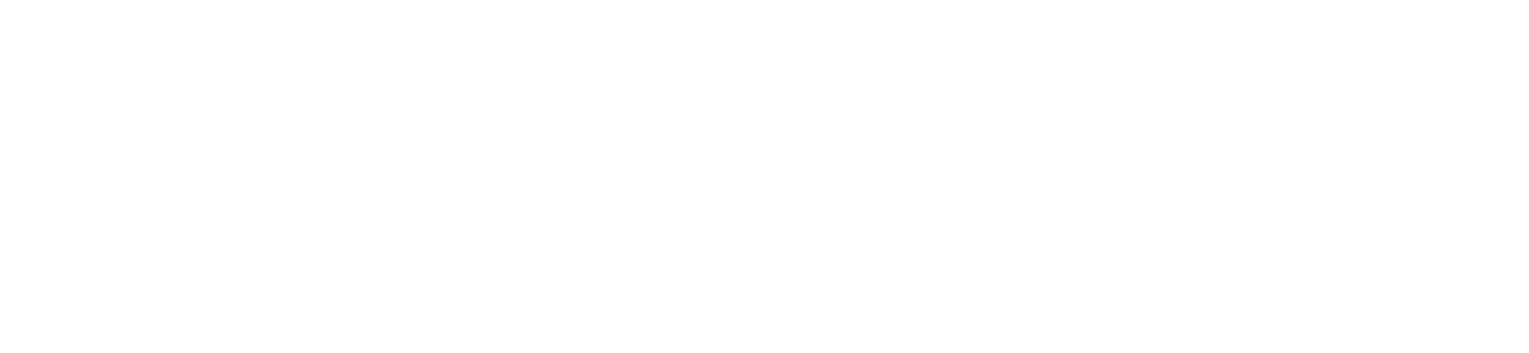 STARZONE NOVELTIES L.L.C.